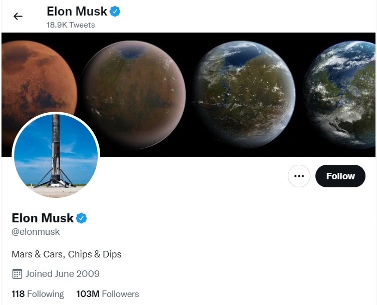 Elon Musk is a master of his personal branding online.