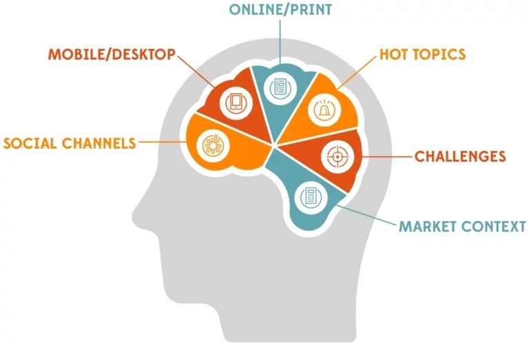 Graphic shows the different types of information included in audience insights