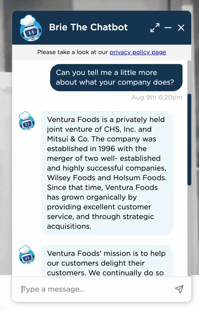 screenshot of a chatbot conversation with chatbot as an example of conversational AI 